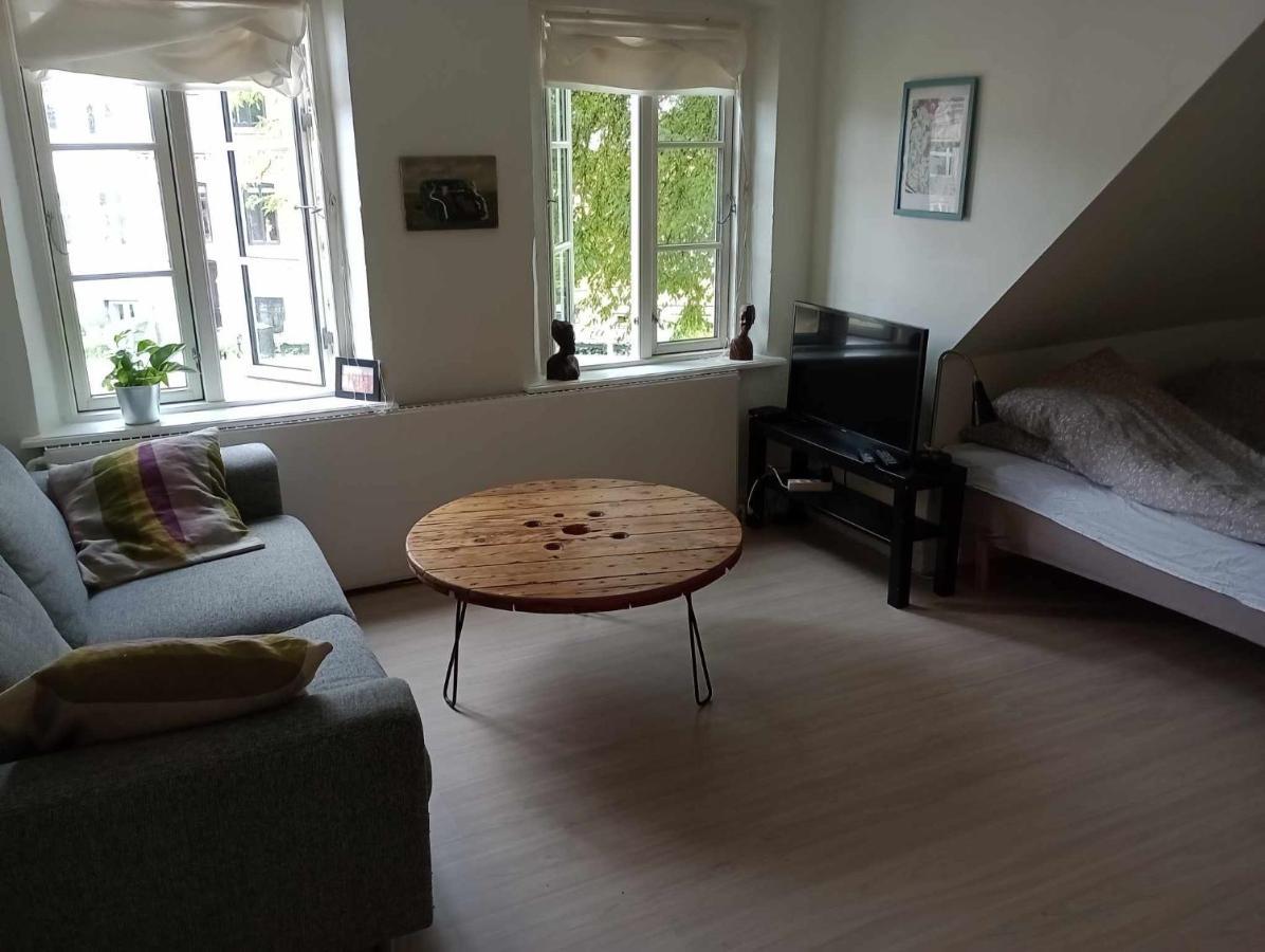 Professor Labri Apartments Odense Dış mekan fotoğraf