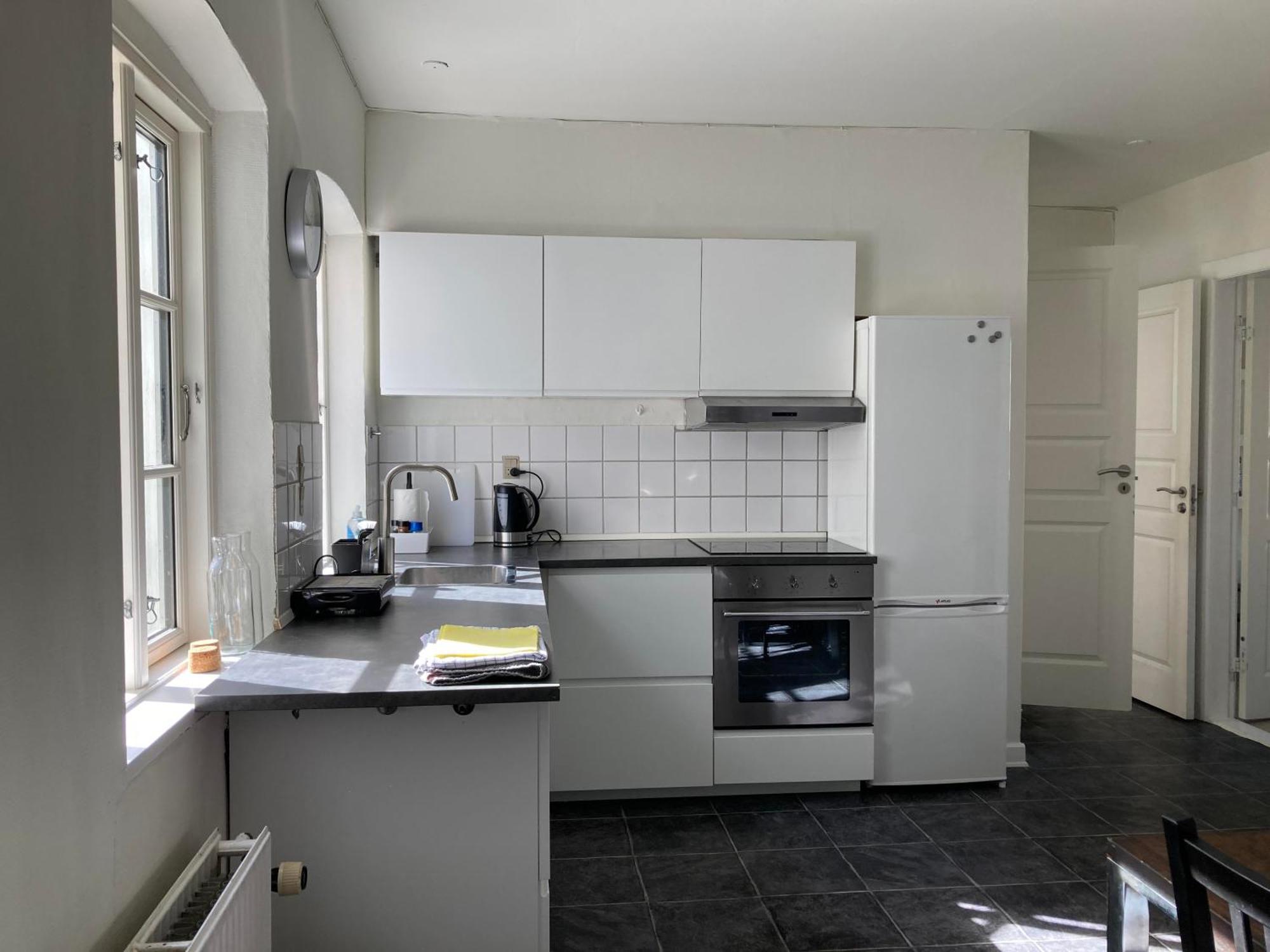 Professor Labri Apartments Odense Dış mekan fotoğraf